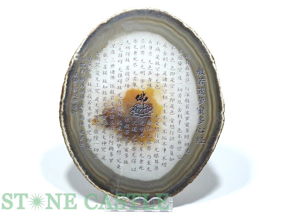 ʼ֤СۥΥץ졼 () ̼㿴