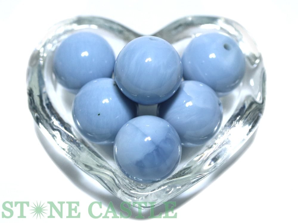 ڴݥӡۥ֥롼ѡ (ꥫ쥴󽣻) [1γ(Х)]