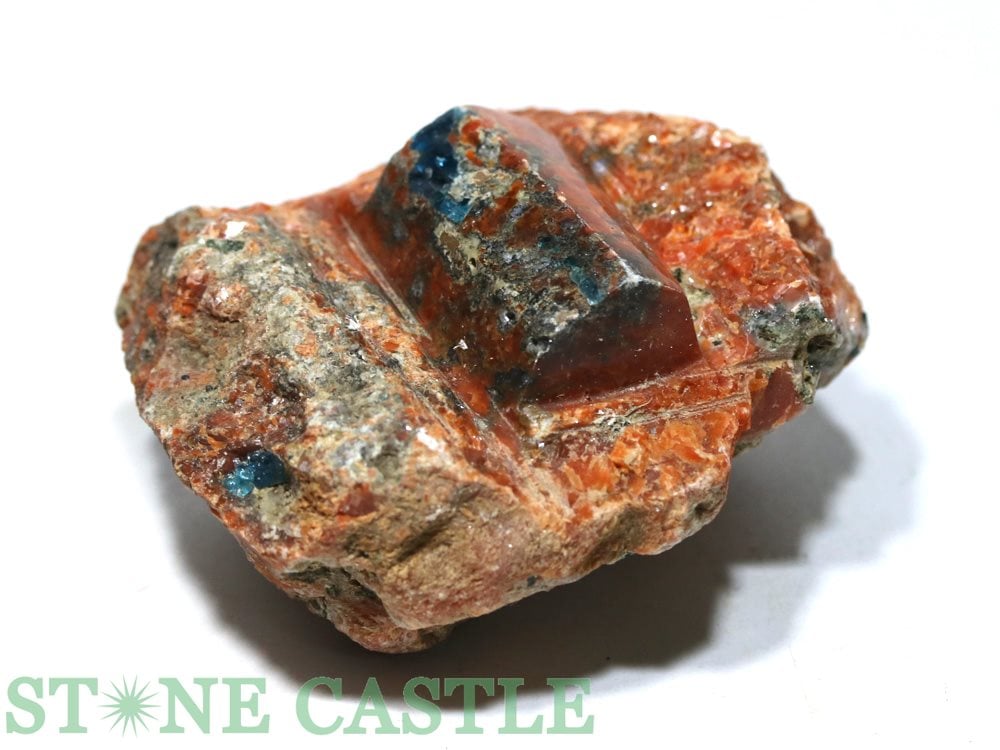 �����а���ʪ���ڸ��Сۥ��󥹥ȡ���&���ѥ����ȶ����� ���쥯����� No.16