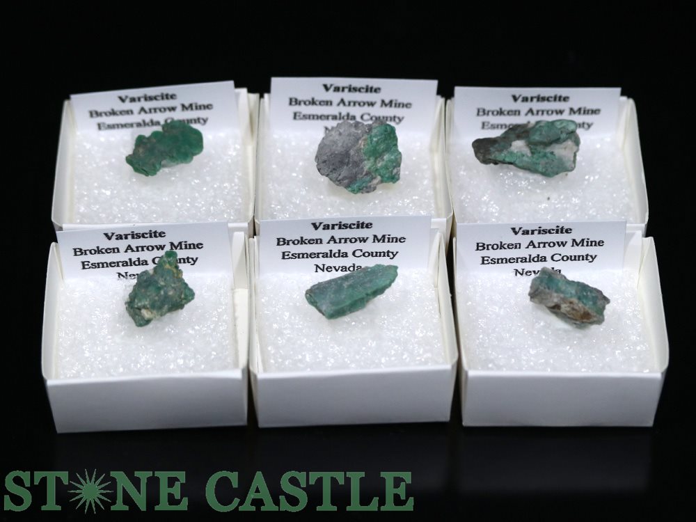 �ڸ��СۥХꥵ���� (�ͥХ���) (��)