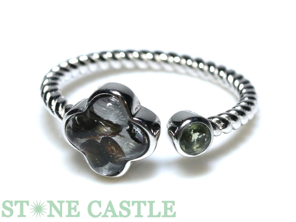 �����ʼ����ڥ�󥰡ۥѥ饵���� ������������� �ͤ��� (�����Х�����)