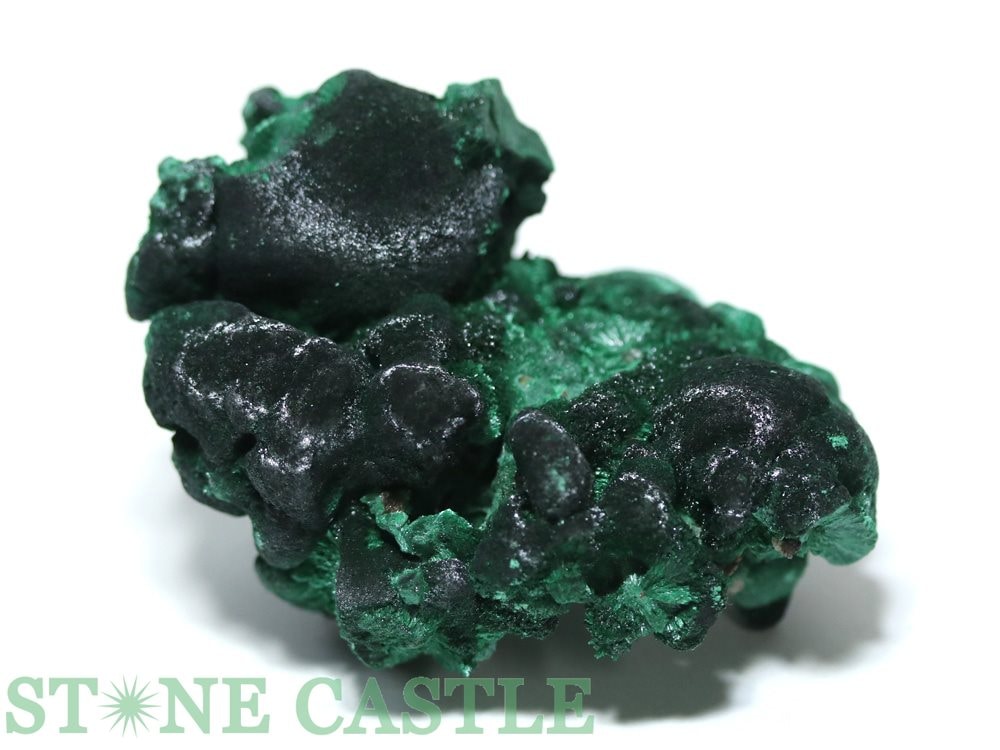 ʪڸСۥ٥٥åȥޥ饫 No.02