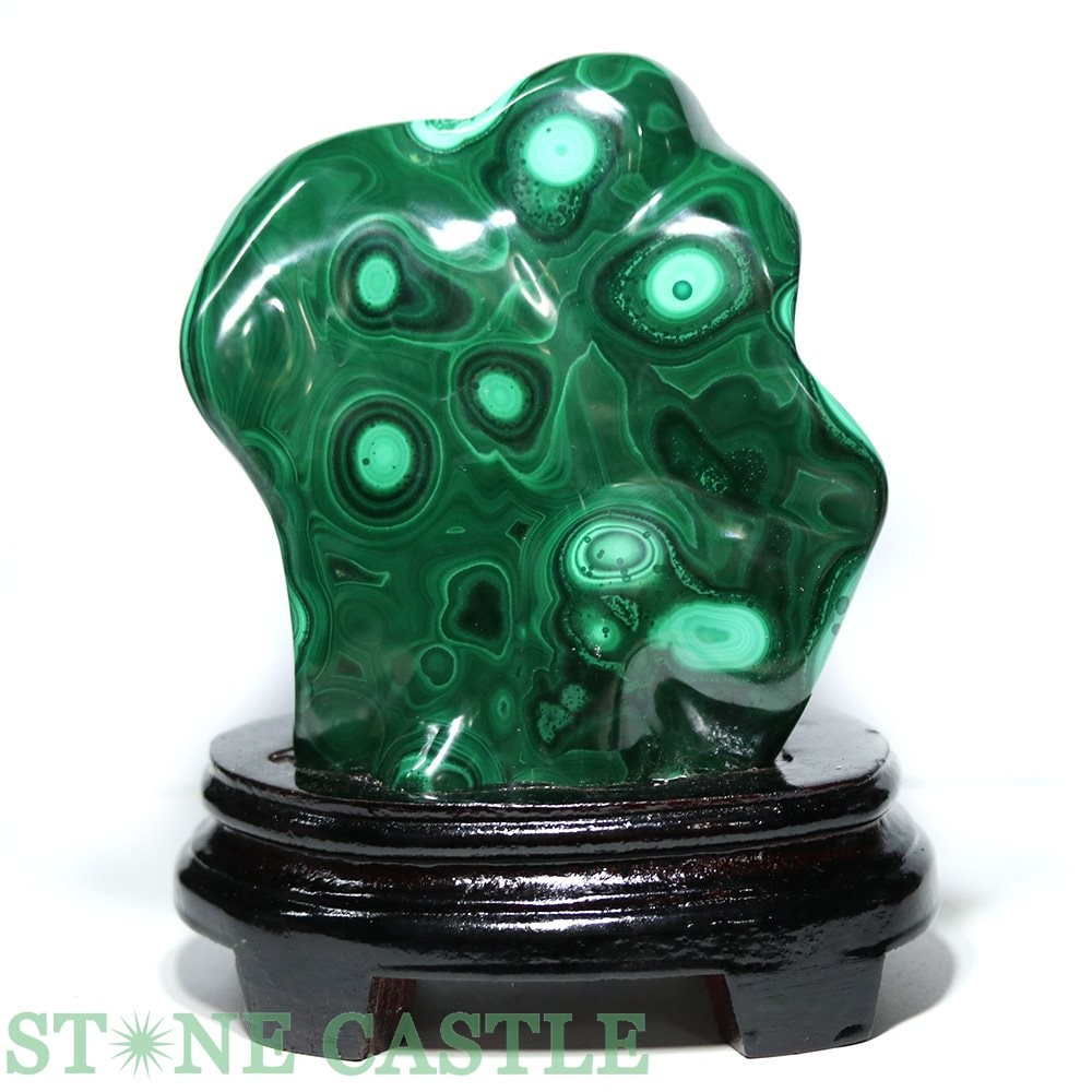 ʪڸСۥޥ饫 () No.55