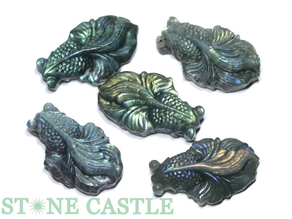 �����ʼ�����Ħ����ʪ�۶�� ��֥�ɥ饤��