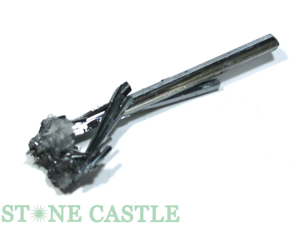 ʪڸСۥƥ֥ʥ (¹) No.45