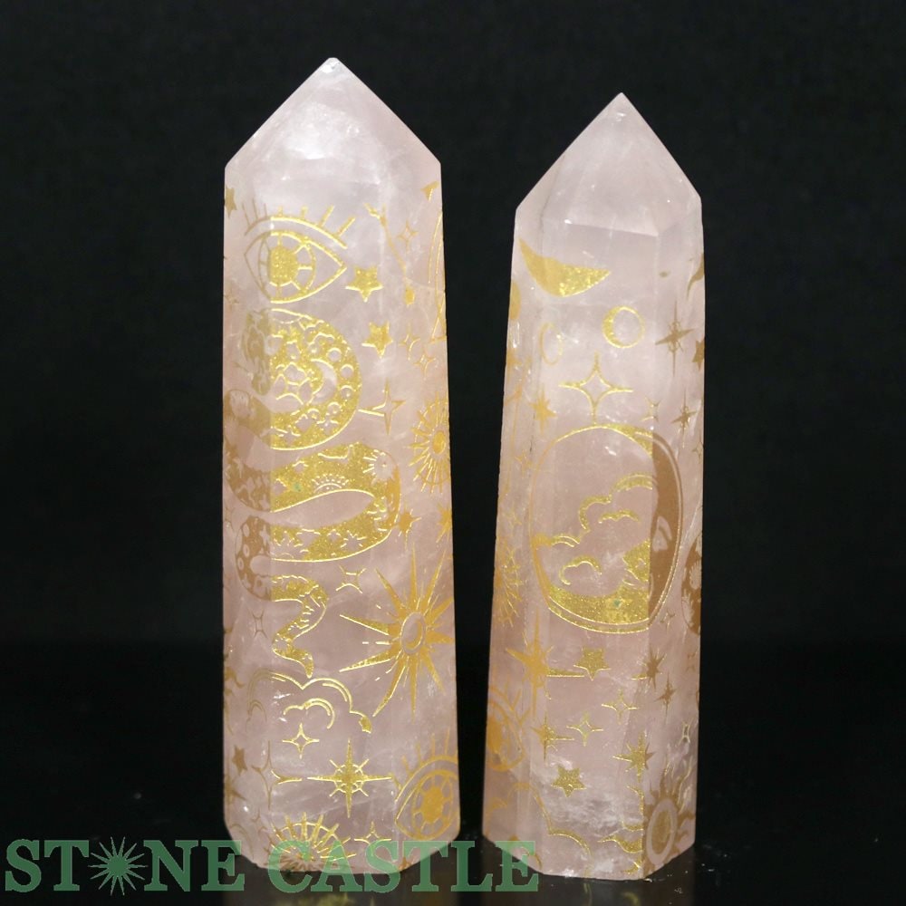 ������ʪ�����֤��Сۥݥ���ȷ� �������������� ���ԥ���奢�륷��ܥ� (2�ܥ��å�) No.01