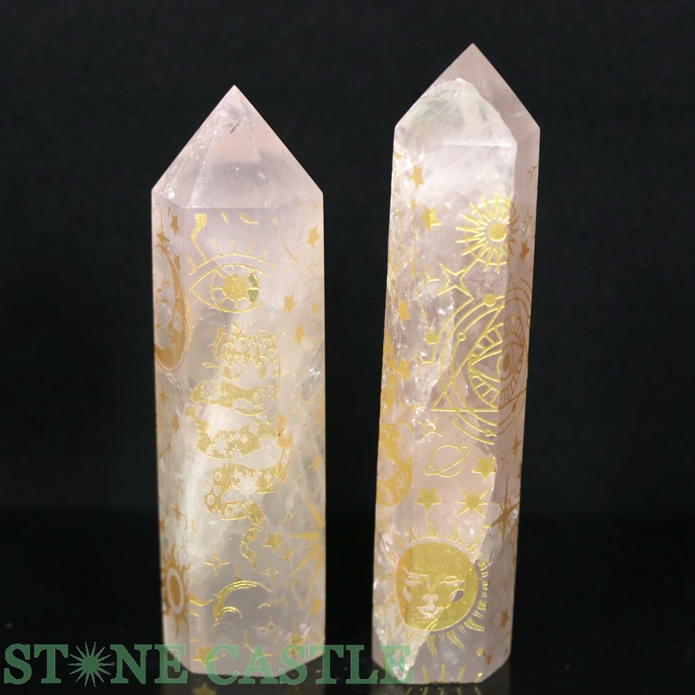 ������ʪ�����֤��Сۥݥ���ȷ� �������������� ���ԥ���奢�륷��ܥ� (2�ܥ��å�) No.02