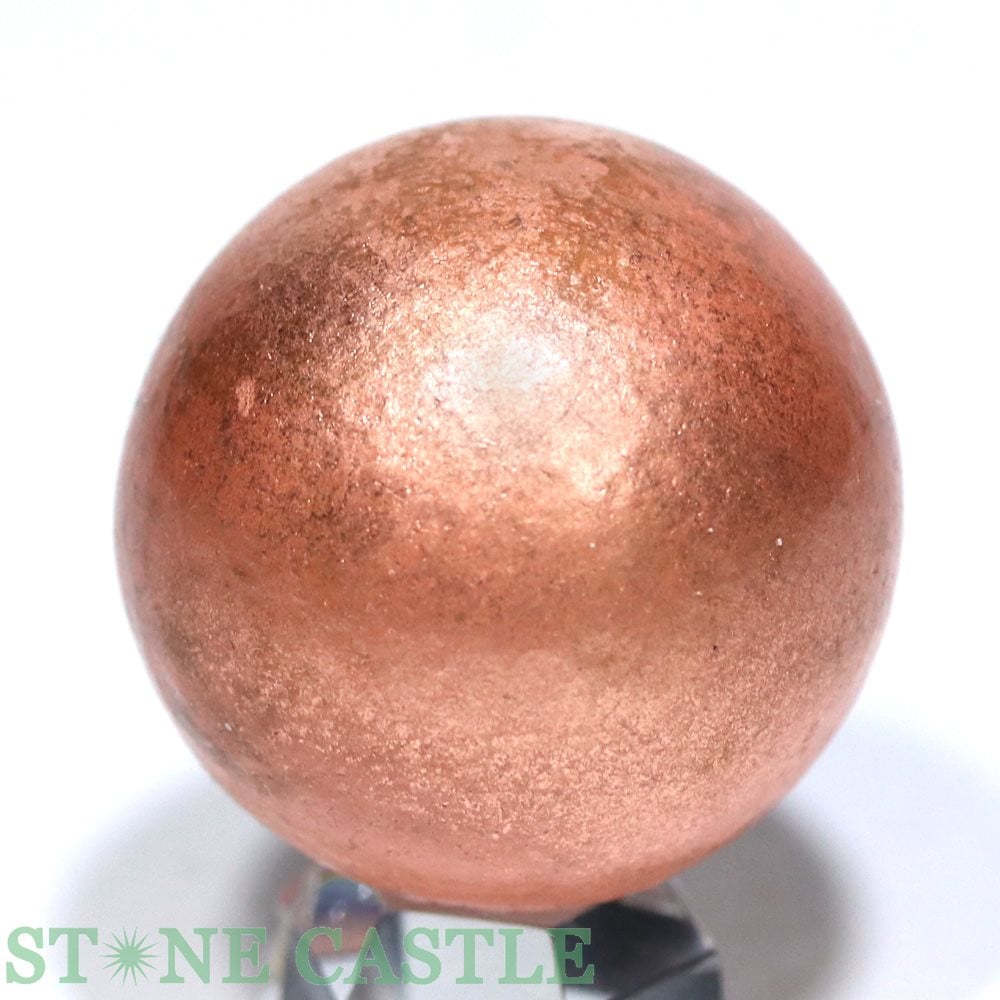 ʪ֤С۴ݶ ѥ饤 (Ƽ) (ߥ󽣻) 30mm No.20