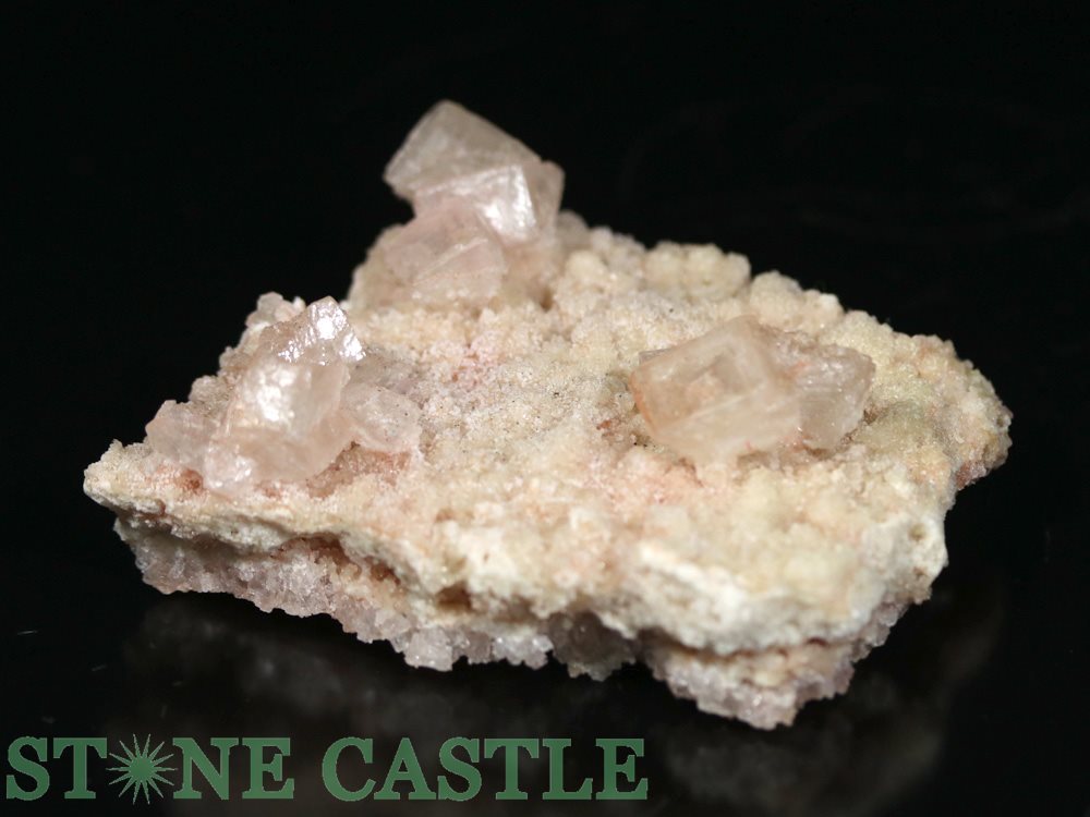 ������ʪ���ڸ��Сۥԥ󥯥ϡ��饤�� (���) No.08