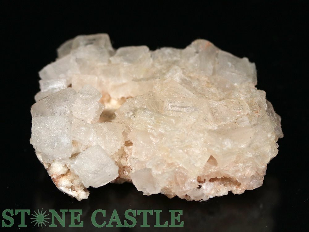 ������ʪ���ڸ��Сۥԥ󥯥ϡ��饤�� (���) No.09