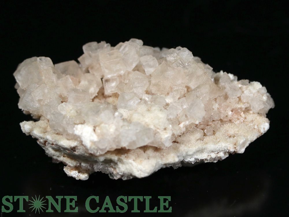 ������ʪ���ڸ��Сۥԥ󥯥ϡ��饤�� (���) No.10