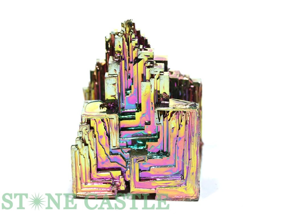 ������ʪ���ڸ��Сۥӥ��ޥ��͹��뾽 No.42