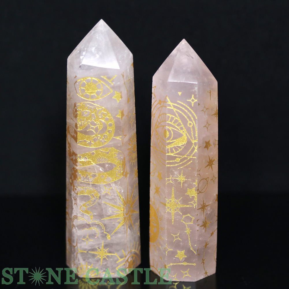 ������ʪ�����֤��Сۥݥ���ȷ� �������������� ���ԥ���奢�륷��ܥ� (2�ܥ��å�) No.11