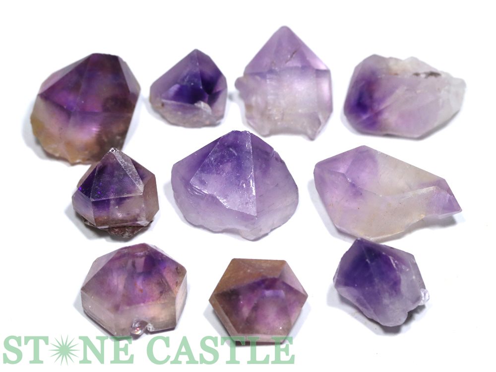 ������ʪ���ڸ��Сۥ��᥸���ȥե���ȥ� (����å���) (10�ĥ��å�) No.55