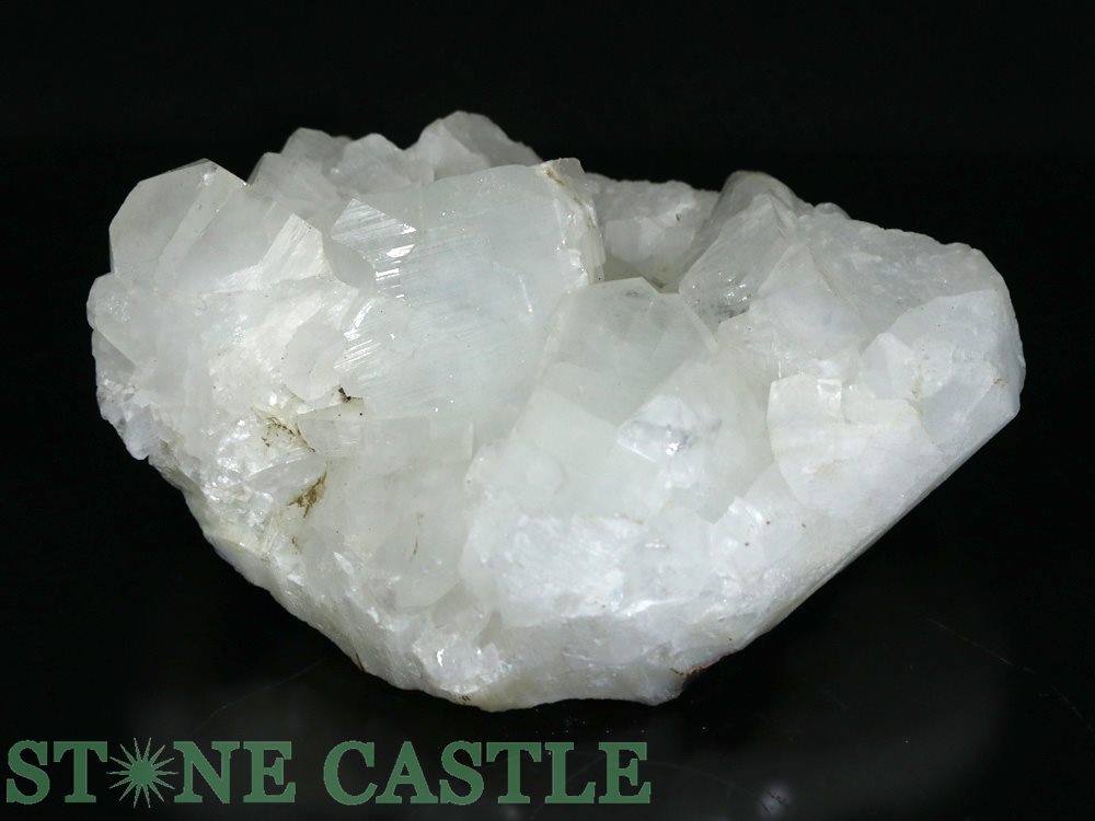 ������ʪ���ڸ��Сۥ��ݥե��饤�� (������) No.62 (��1036g)