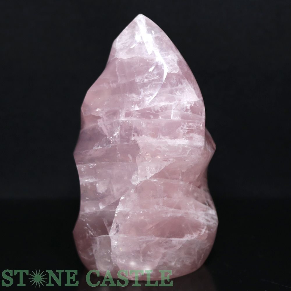 ������ʪ�����֤��СۤҤͤ�ݥ���ȷ� �������������� (EX) No.19