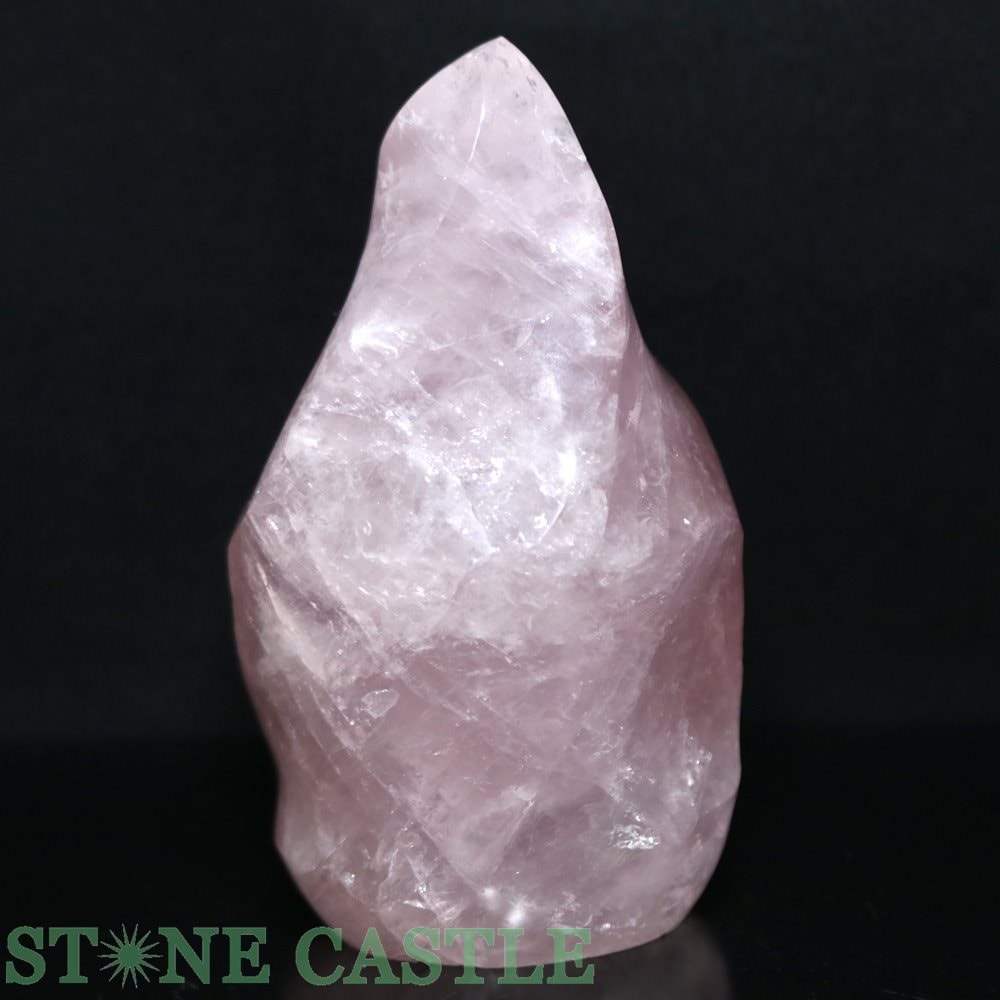 ������ʪ�����֤��СۤҤͤ�ݥ���ȷ� �������������� (EX) No.20