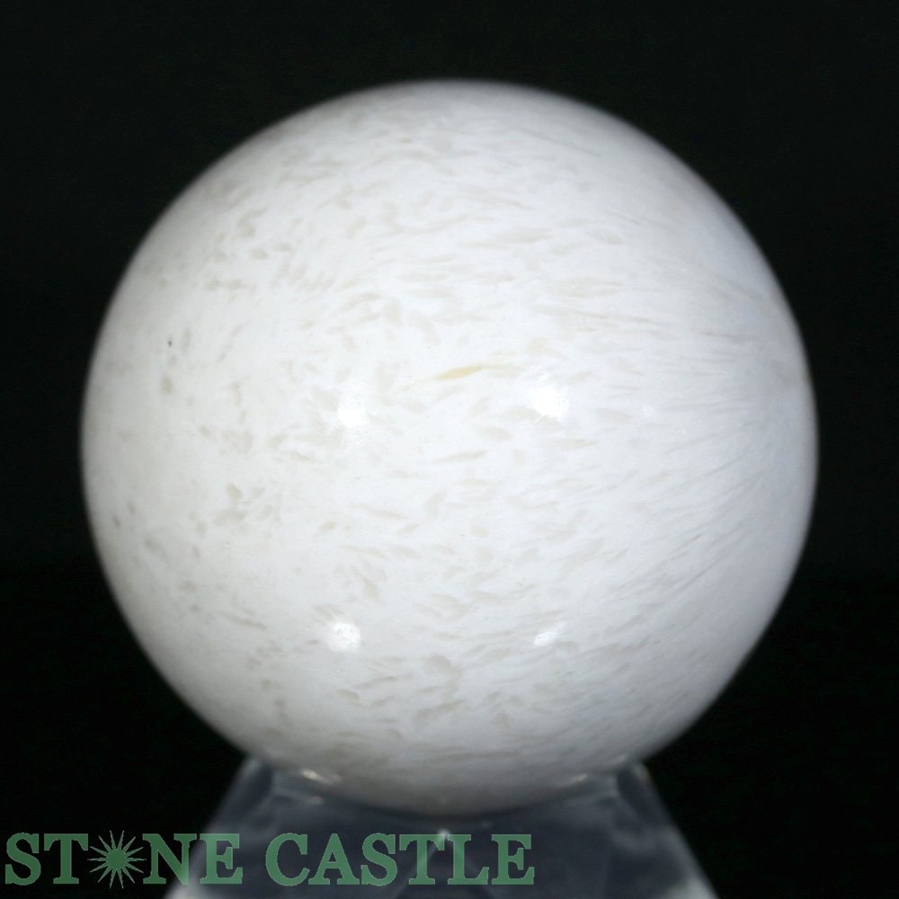 ������ʪ�����֤��С۴ݶ� �����쥵���� ��74mm No.01