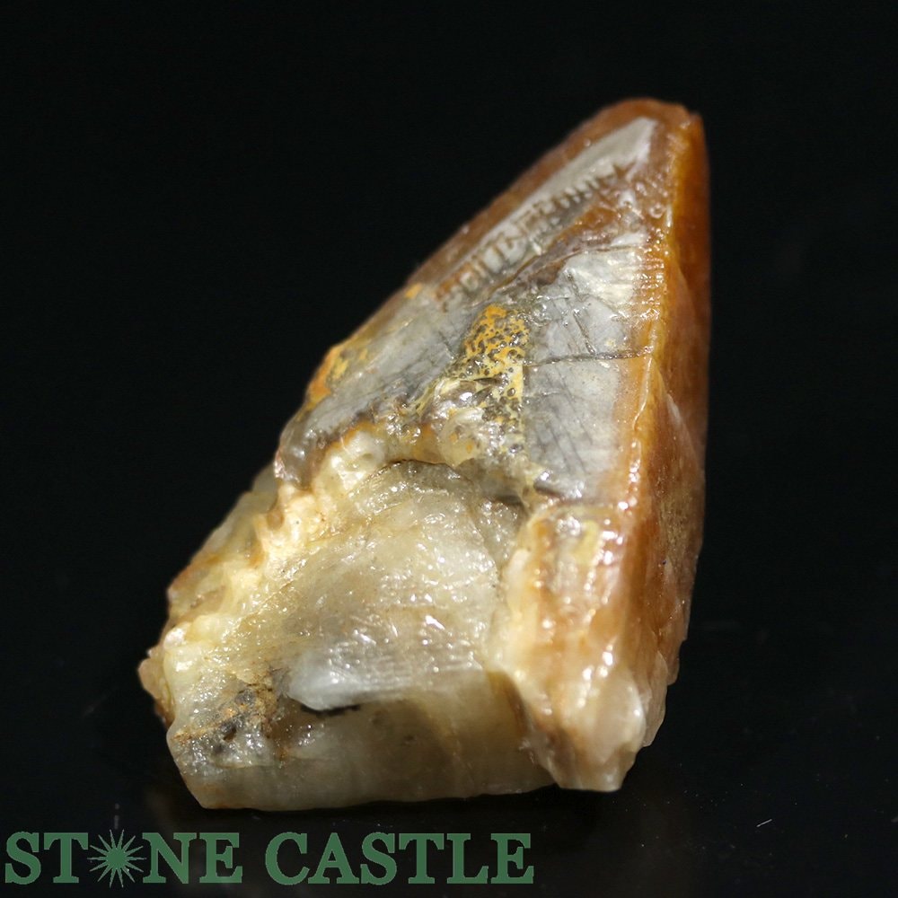 ʪڸСۥƥӡ५륵 () No.55