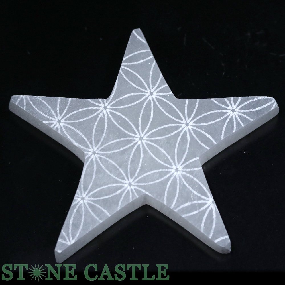 ʼ֤Сۥʥ ʥץ졼  (ե֥饤)