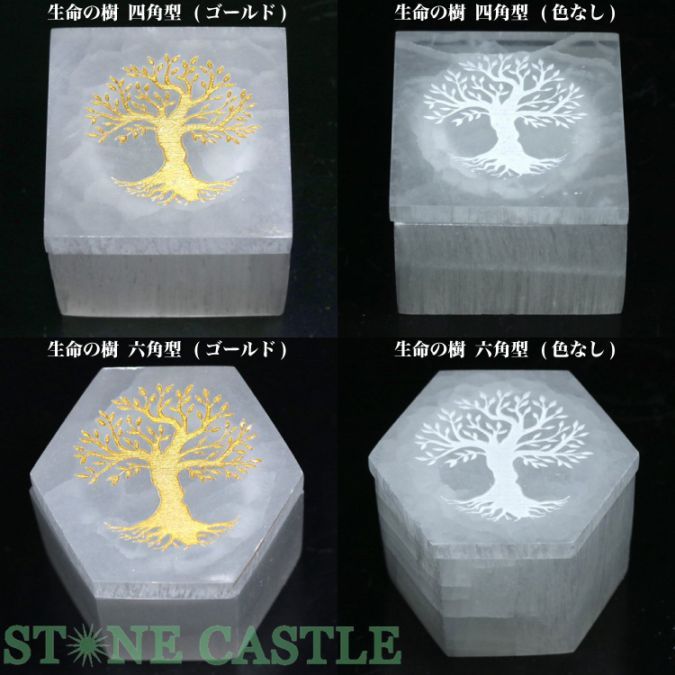 ʼ֤Сۥʥ Ȣ (̿μ) Ƽ