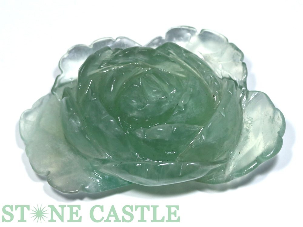 ������ʪ����Ħ����ʪ���� �ե����饤�� No.03