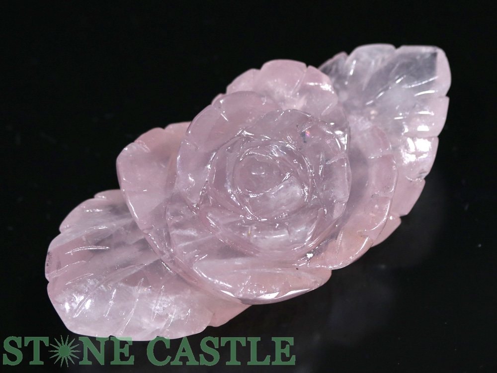 ������ʪ����Ħ����ʪ���� �ޥ�������������� No.03