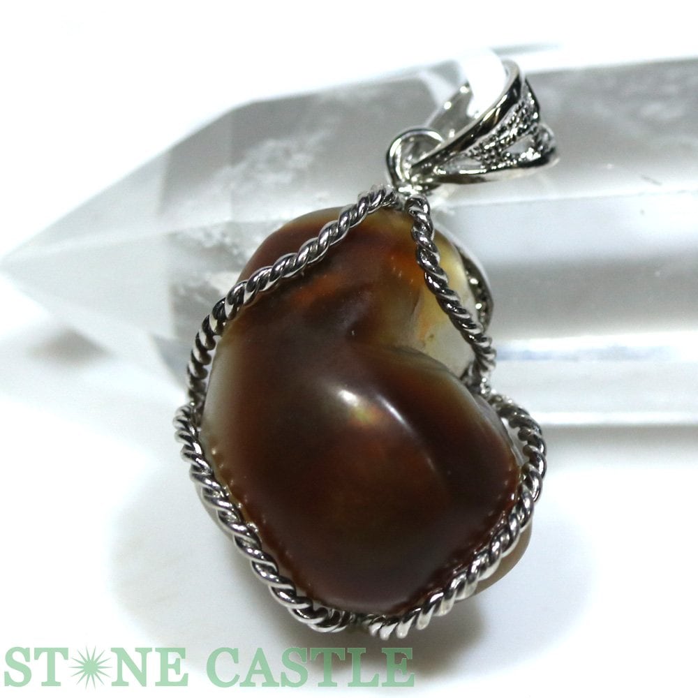 ʪڥڥȡۥե䡼 No.13