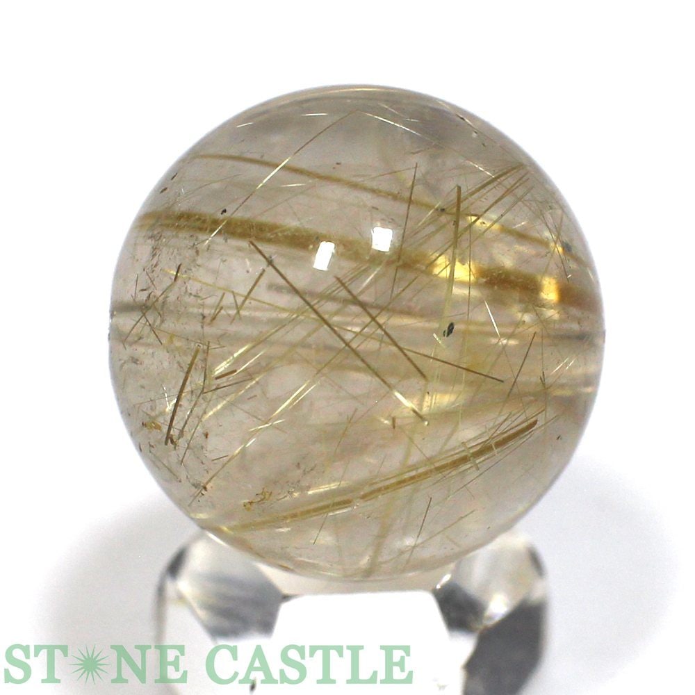 ʪڴݥӡ۶륯 (6A) 20mm [1γ] No.01