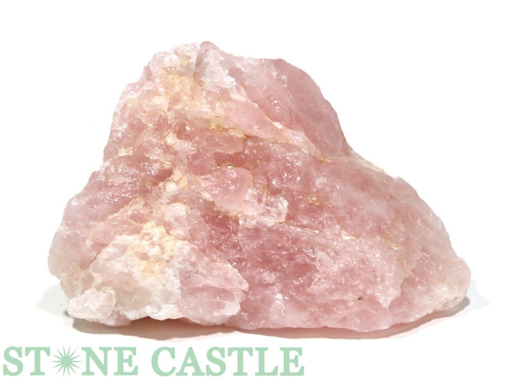 ������ʪ���ڸ��С۸��Х�� �������������� (��) No.74