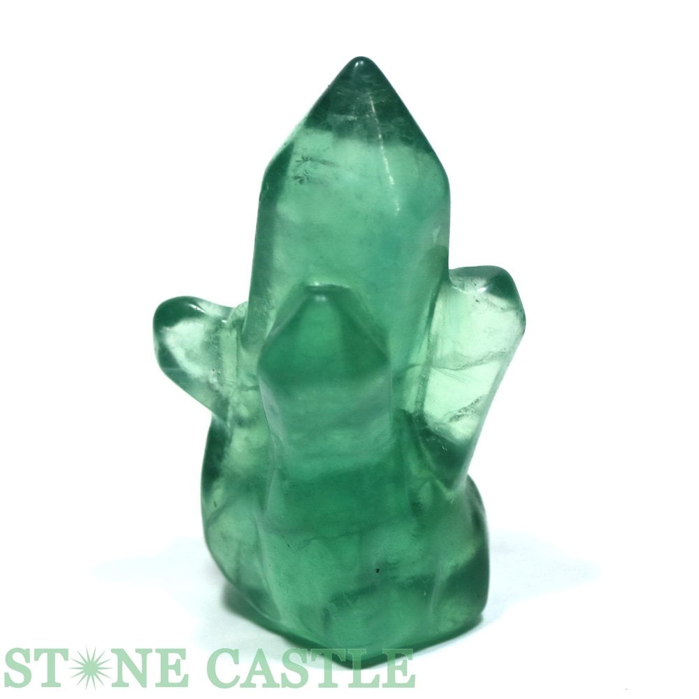 ������ʪ����Ħ����ʪ�ۥ��饹������ ���꡼��ե����饤�� No.02