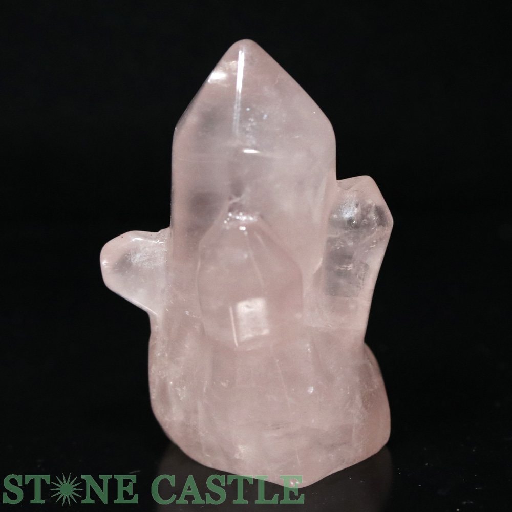 ������ʪ����Ħ����ʪ�ۥ��饹������ �������������� No.02