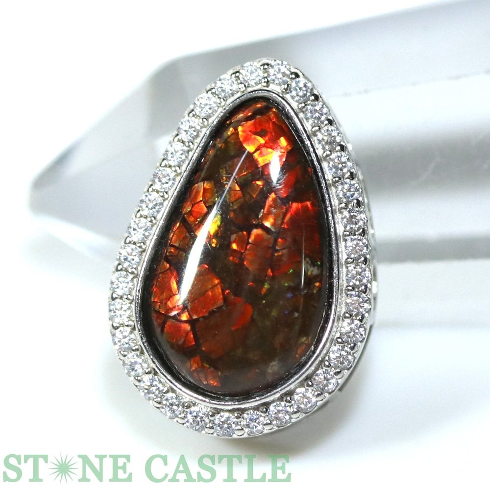 ������ʪ���ڥڥ����ȡۥ����饤��(�����饤��) (���륳�˥���) No.02