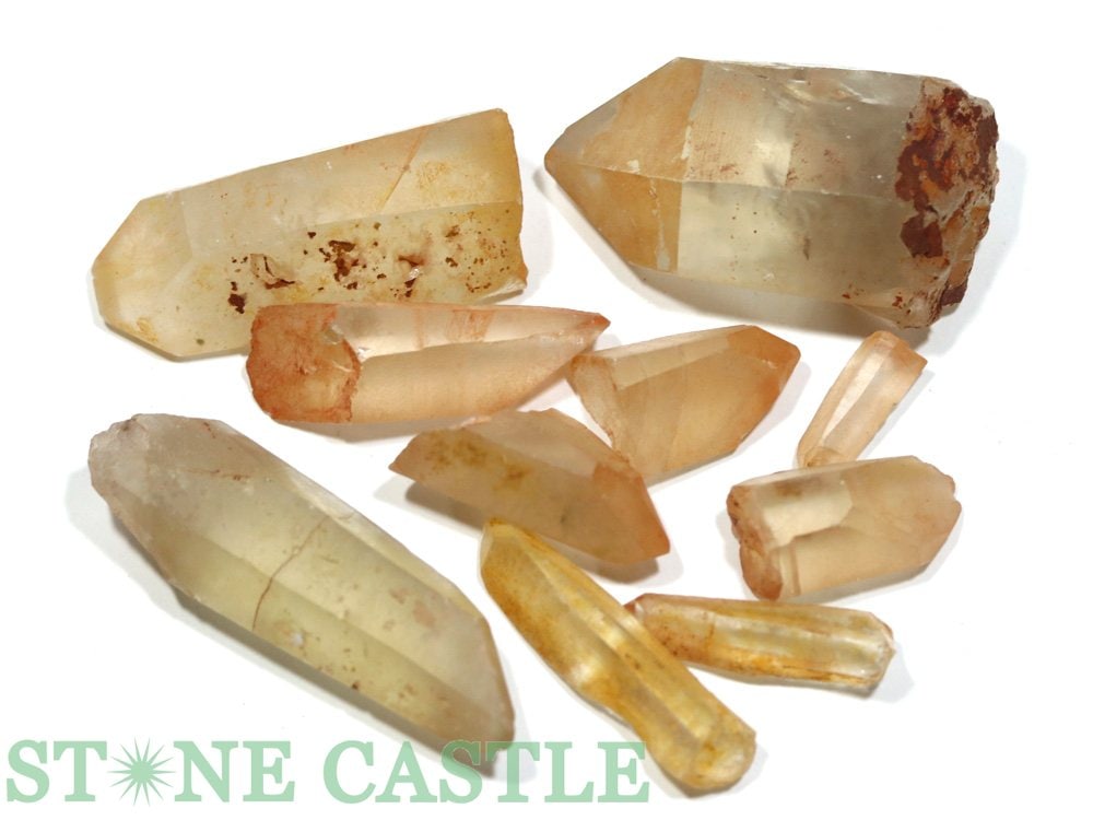 ������ʪ���ڸ��Сۥ��󥸥������ꥢ�󥯥����� �ݥ���ȸ��� ��200g�ѥå� No.62