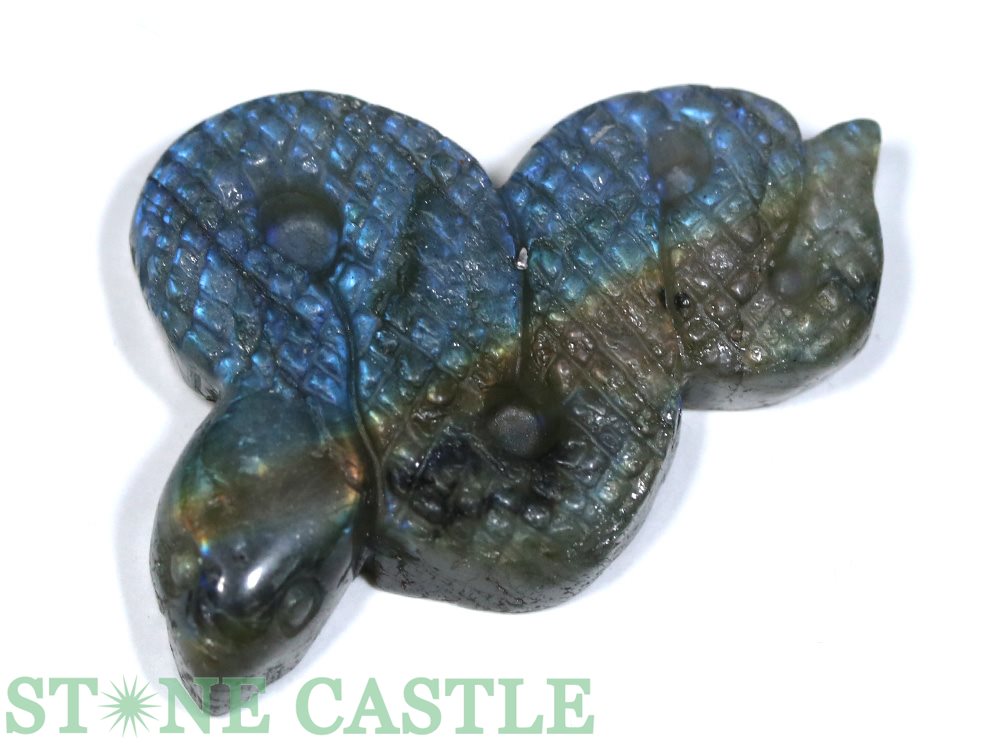 ������ʪ����Ħ����ʪ�ۼ� ��֥�ɥ饤�� (ST) No.72