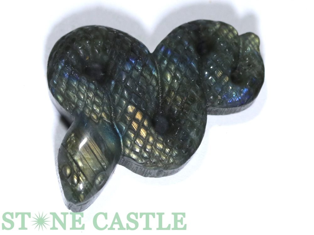 ������ʪ����Ħ����ʪ�ۼ� ��֥�ɥ饤�� (ST) No.73