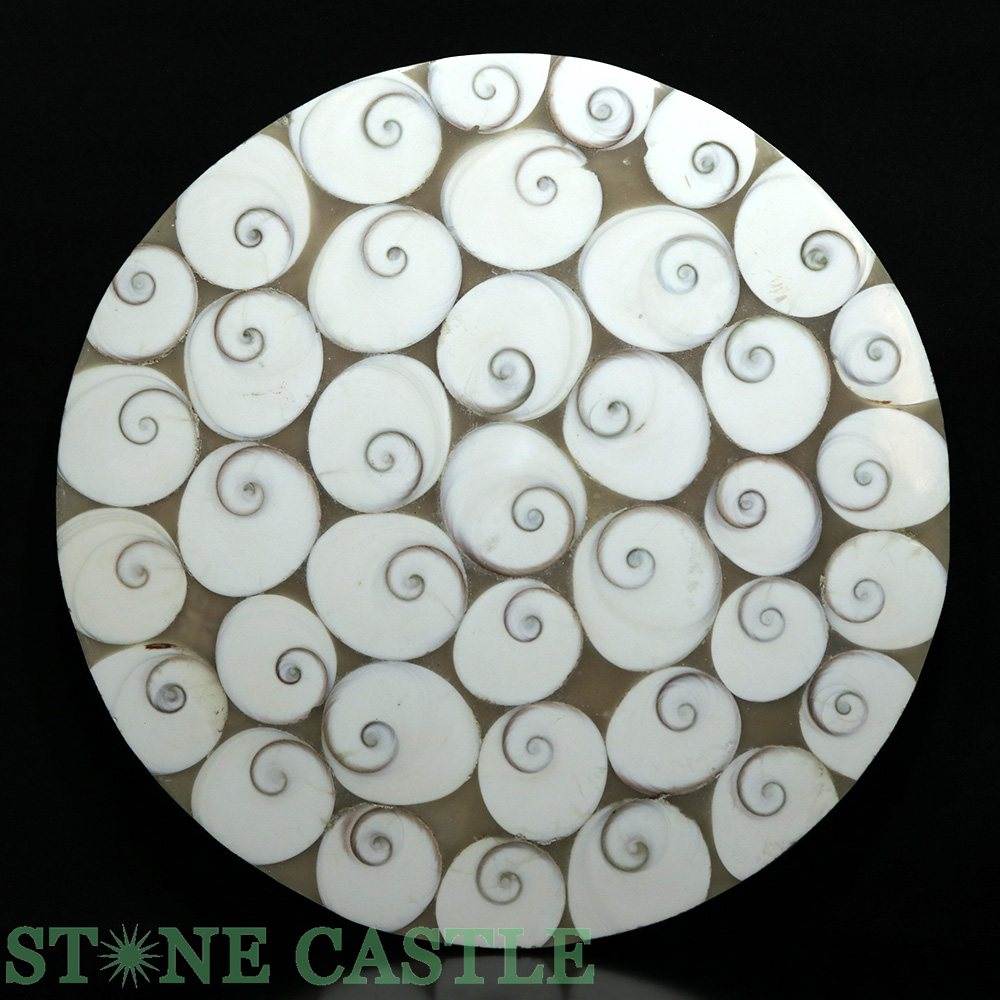 ʪ֤Сۥ (ץ졼) 250mm () No.01