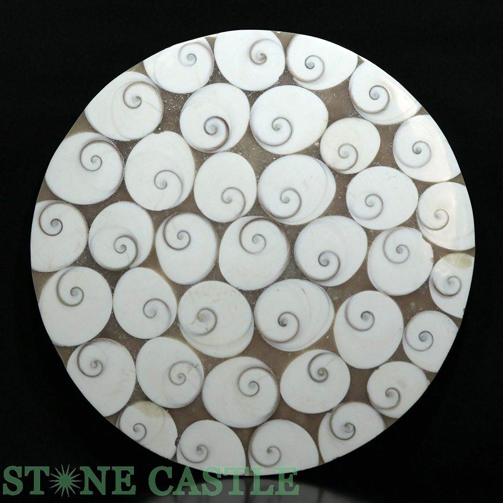 ʪ֤Сۥ (ץ졼) 250mm () No.02