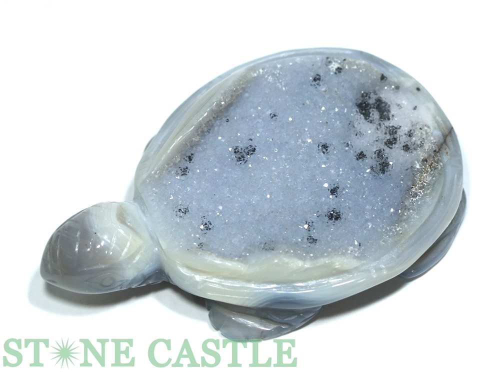 ������ʪ����Ħ����ʪ�ۤ��� �ɥ��롼�������� No.27