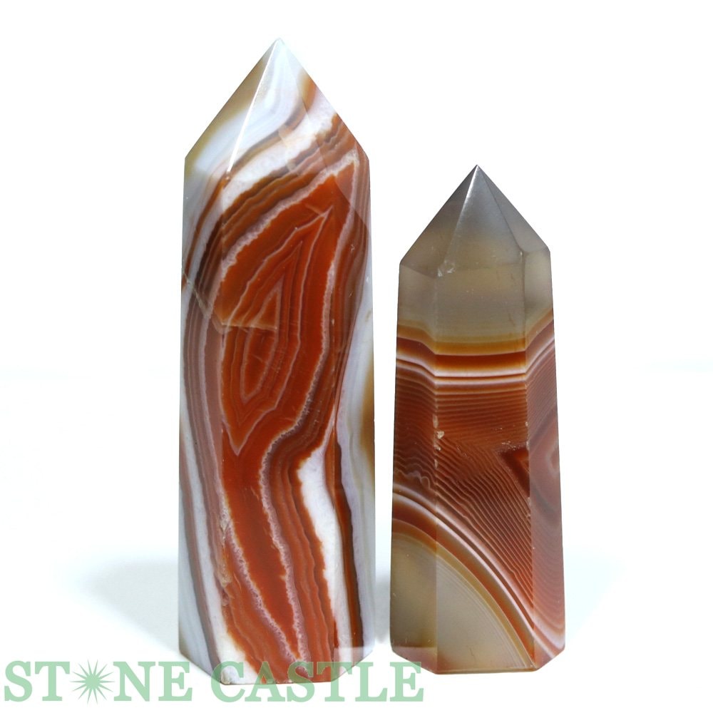 ������ʪ�����֤��Сۥݥ���ȷ� �����ɥ��˥��� (2�ܥ��å�) No.22