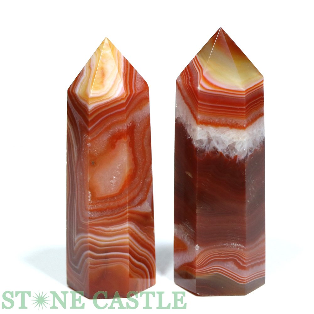 ������ʪ�����֤��Сۥݥ���ȷ� �����ɥ��˥��� (2�ܥ��å�) No.23