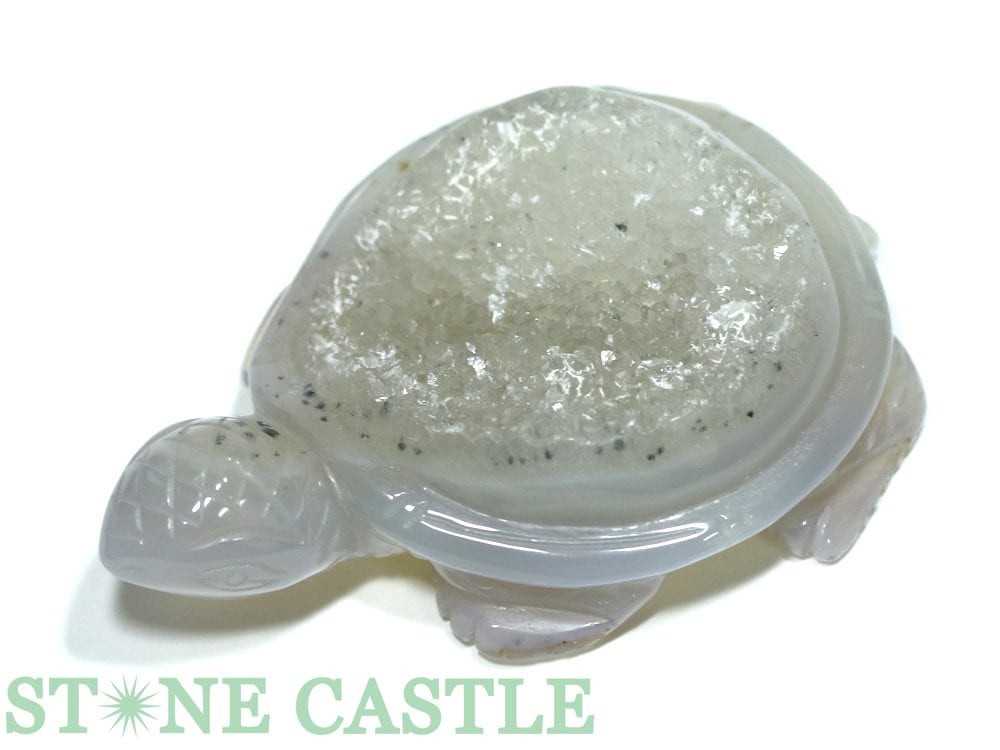 ������ʪ����Ħ����ʪ�ۤ��� �ɥ��롼�������� No.28