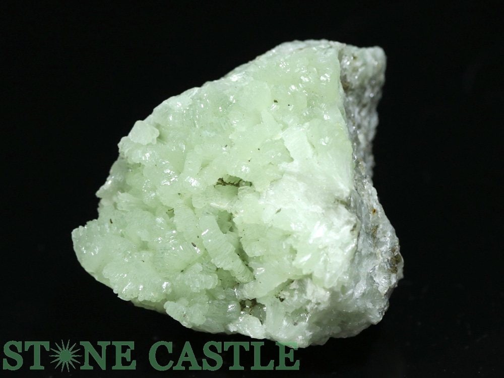 ������ʪ���ڸ��Сۥץ�ʥ��� ���Х��쥯����� No.38