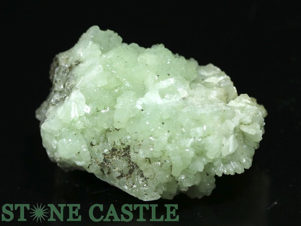 ������ʪ���ڸ��Сۥץ�ʥ��� ���Х��쥯����� No.39