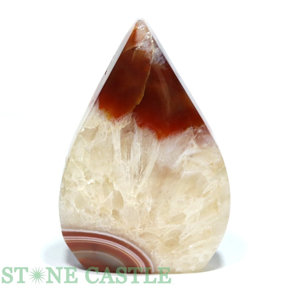 ������ʪ�����֤��Сۥɥ��åץݥ���ȷ� �����ɥ��˥��� No.44