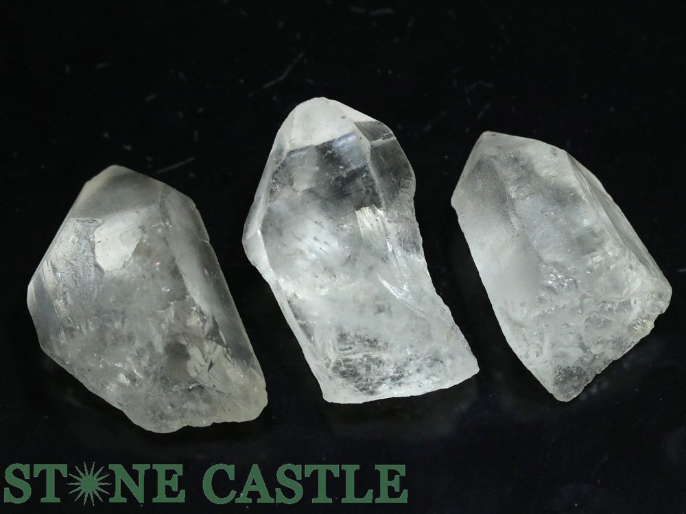 ������ʪ���ڸ��Сۥ졼�����徽 �ݥ���ȸ��� (3�ܥ��å�) No.11