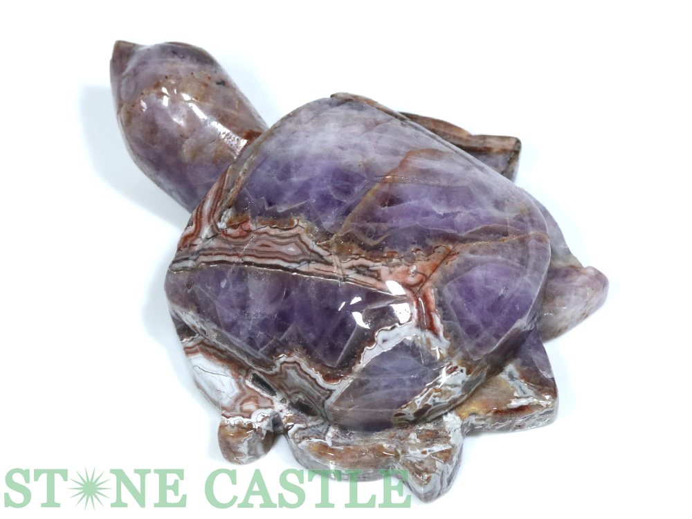 ������ʪ����Ħ����ʪ�ۥ��ߥ��� ���᥸���Ⱥ����� No.01