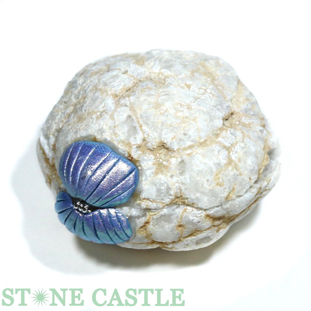 �ڸ��Сۥ������� ���� ����Ȣ