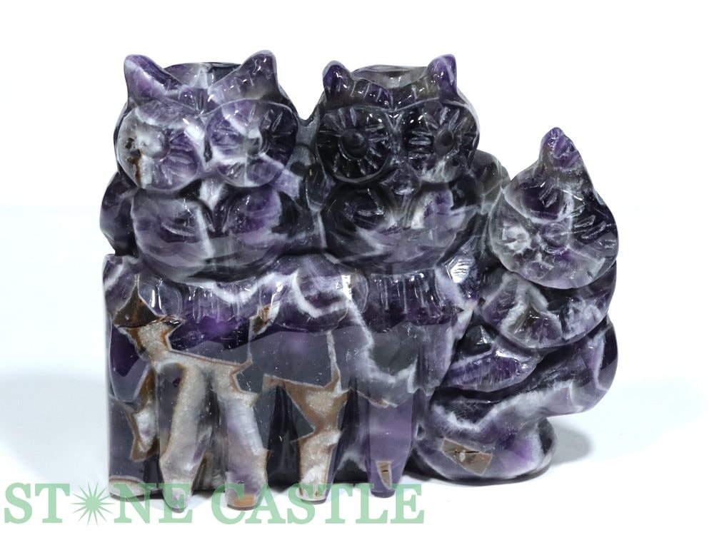 ������ʪ����Ħ����ʪ�ۤդ����� �����֥��󥢥᥸���� No.02