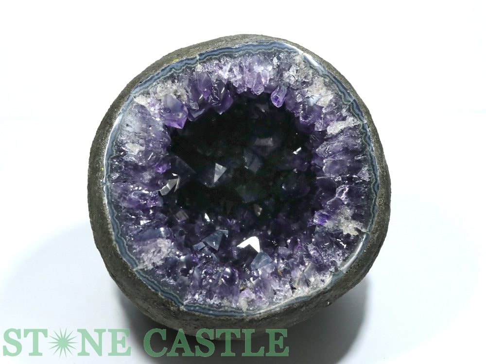 ʪڸСۥ᥸ ڡ (6A) (륰) ɡ෿ (̵) No.17